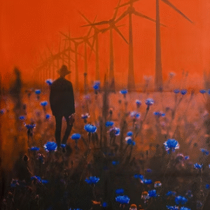 Coluna Luís Palma Gomes: Vadiar