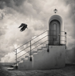 Coluna Luís Palma Gomes: Tensão cinzenta