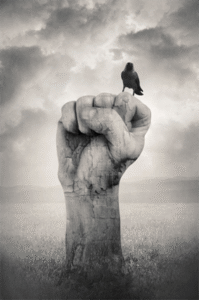 PLATAFORMA DE UM SONHO: Milton Rezende